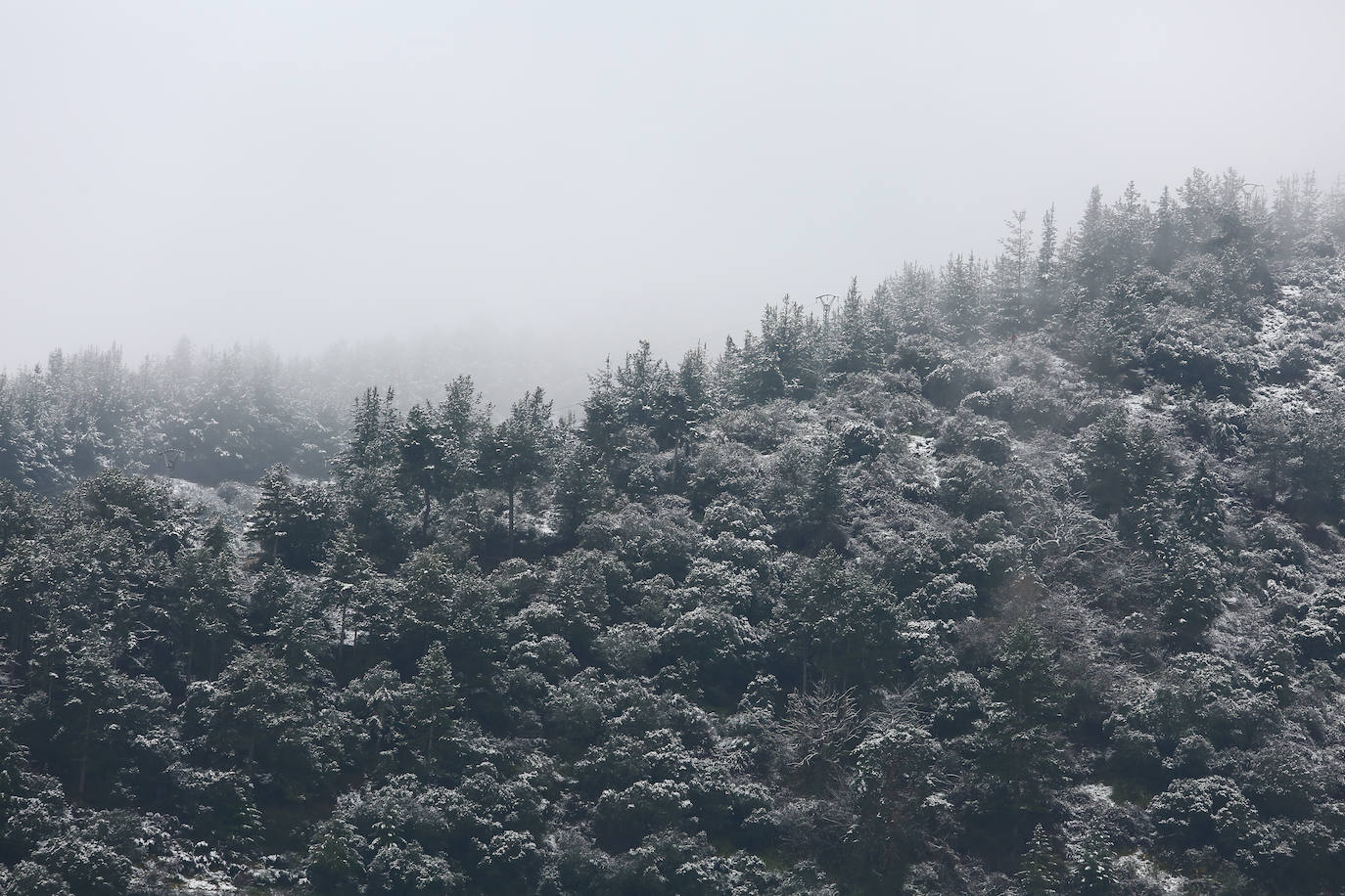 El temporal ha permitido que la capital berciana se tiñera de blanco en la mañana de este sábado